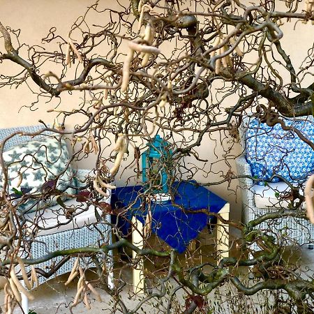 Boccadibacco Bed & Breakfast San Pietro in Cariano Luaran gambar