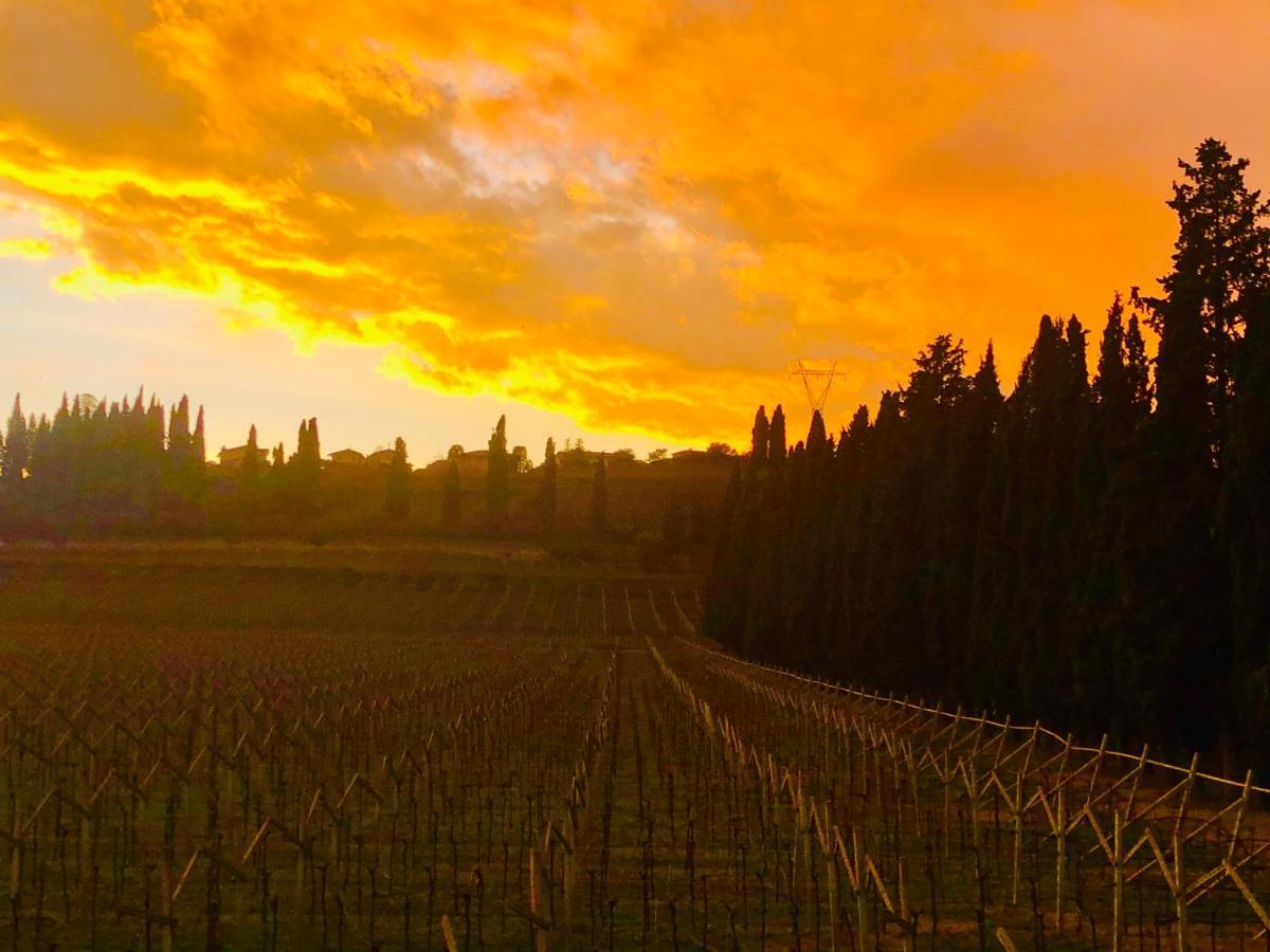 Boccadibacco Bed & Breakfast San Pietro in Cariano Luaran gambar