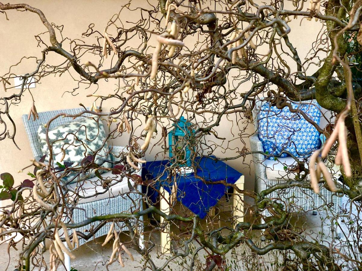 Boccadibacco Bed & Breakfast San Pietro in Cariano Luaran gambar