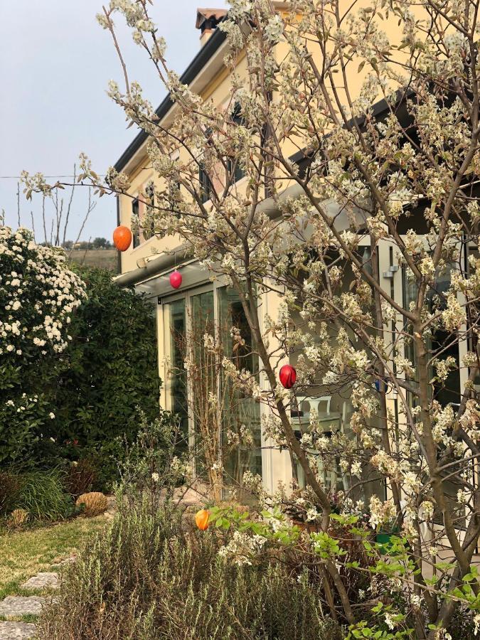 Boccadibacco Bed & Breakfast San Pietro in Cariano Luaran gambar